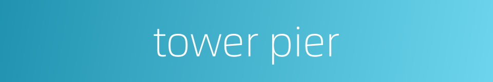 tower pier的同义词