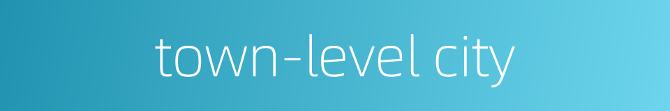 town-level city的同义词