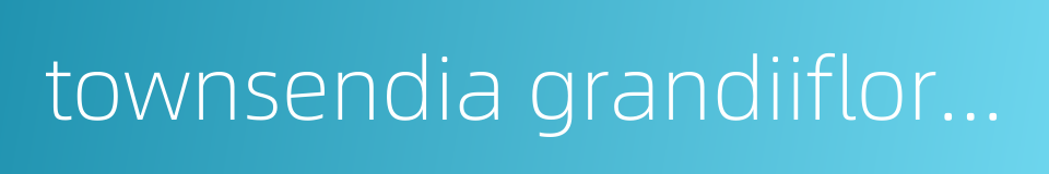 townsendia grandiiflora nuff的同义词