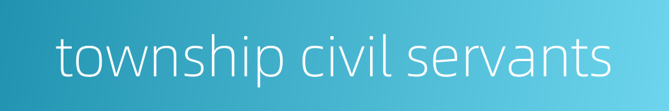 township civil servants的同义词