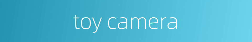 toy camera的同义词