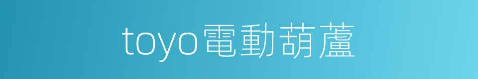 toyo電動葫蘆的同義詞