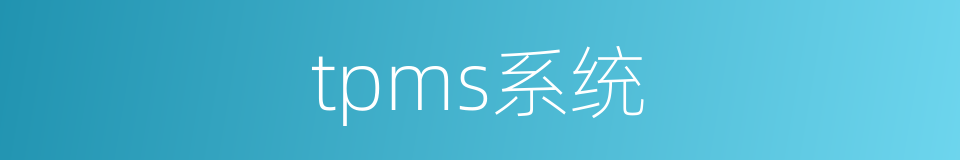 tpms系统的同义词