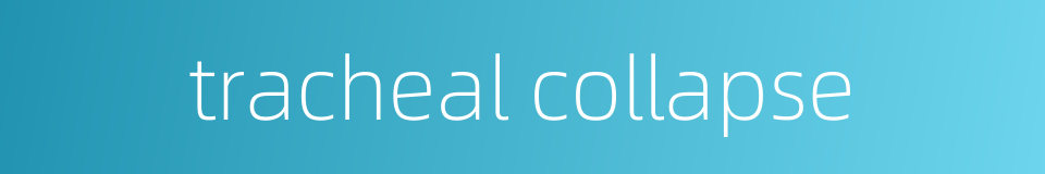 tracheal collapse的同义词