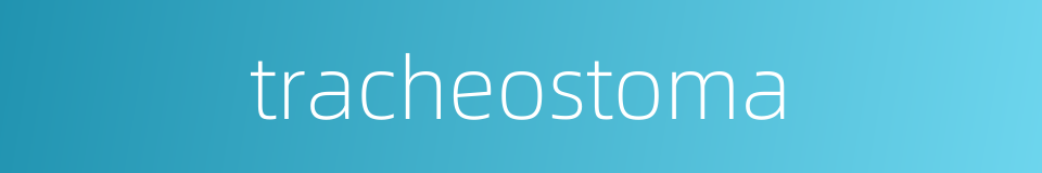 tracheostoma的同义词
