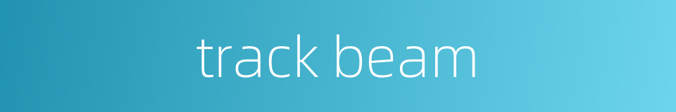 track beam的同义词