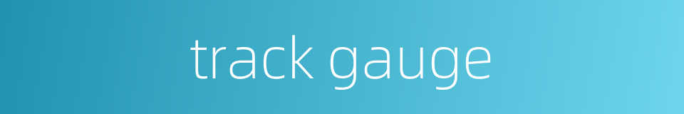 track gauge的同义词