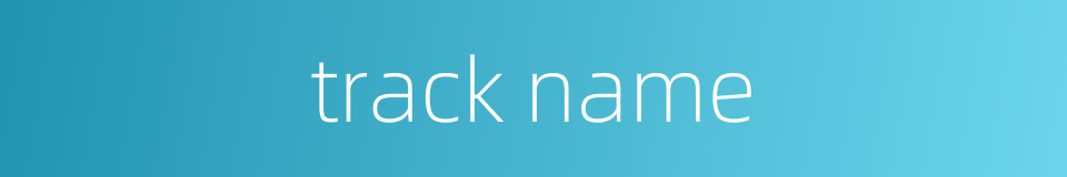 track name的同义词