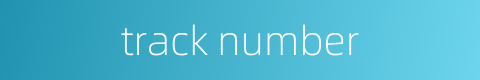 track number的同义词