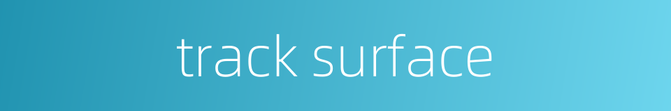 track surface的同义词
