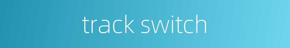 track switch的同义词