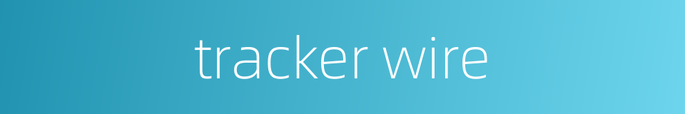 tracker wire的同义词