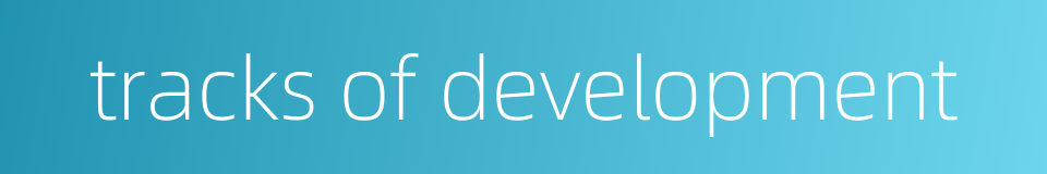 tracks of development的同义词