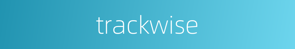 trackwise的同义词