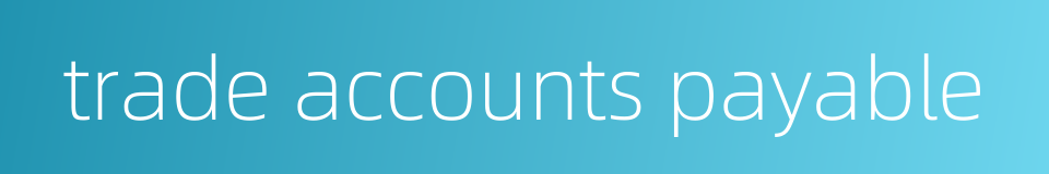 trade accounts payable的同义词