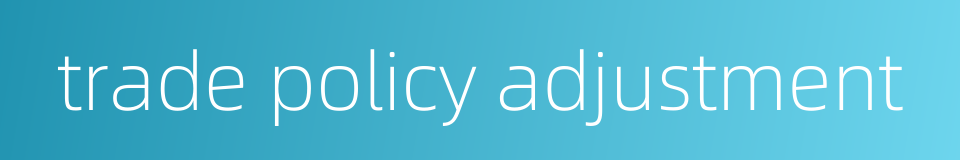 trade policy adjustment的同义词