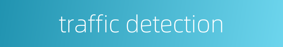 traffic detection的同义词