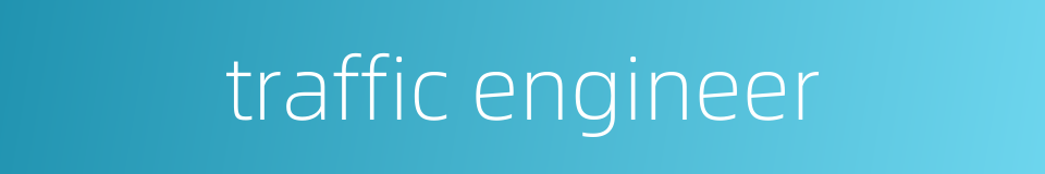 traffic engineer的同义词