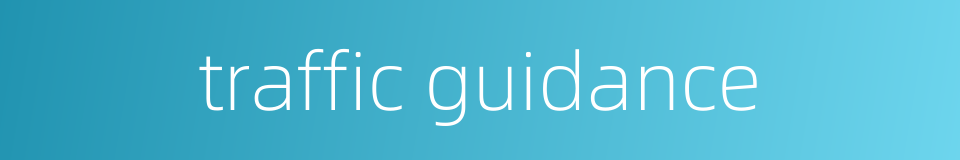 traffic guidance的同义词
