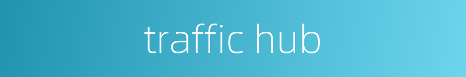 traffic hub的同义词
