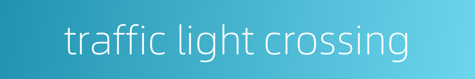 traffic light crossing的同义词