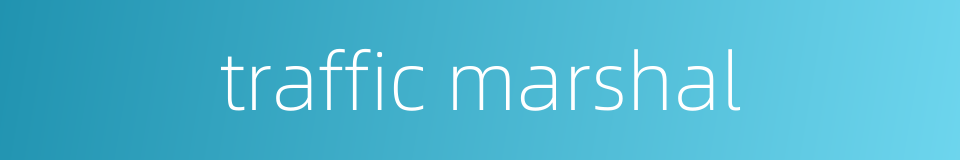 traffic marshal的同义词