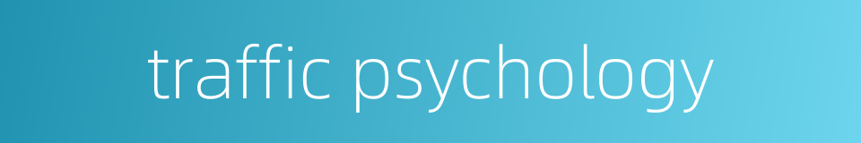 traffic psychology的同义词