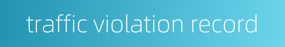 traffic violation record的同义词