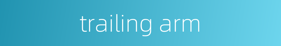 trailing arm的同义词