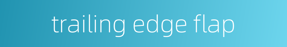 trailing edge flap的同义词