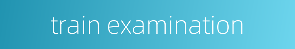 train examination的同义词