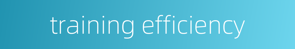 training efficiency的同义词