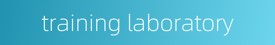 training laboratory的同义词