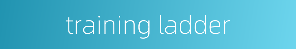 training ladder的同义词