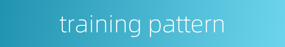 training pattern的同义词