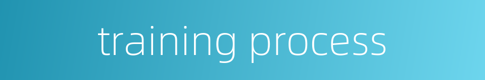 training process的同义词