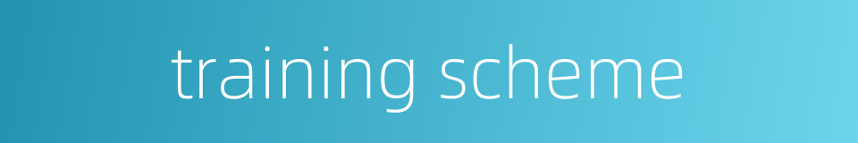 training scheme的同义词