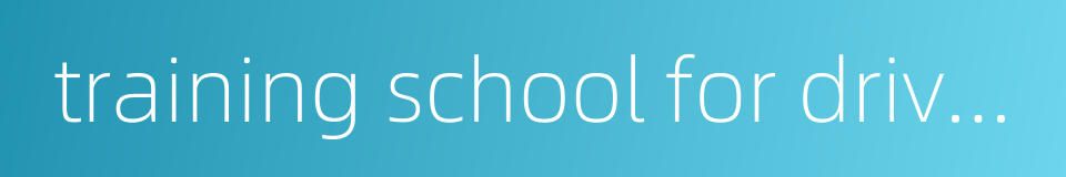 training school for drivers的同义词