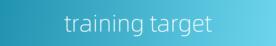 training target的同义词