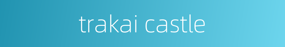 trakai castle的同义词