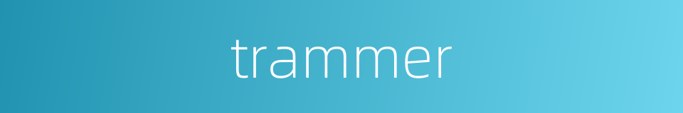 trammer的同义词
