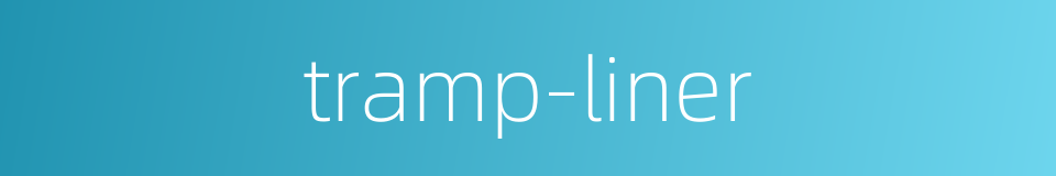 tramp-liner的同义词