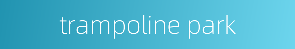 trampoline park的同义词