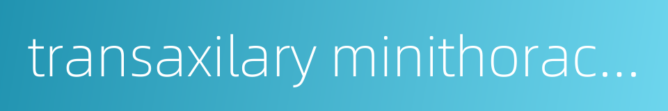 transaxilary minithoracotomy的同义词