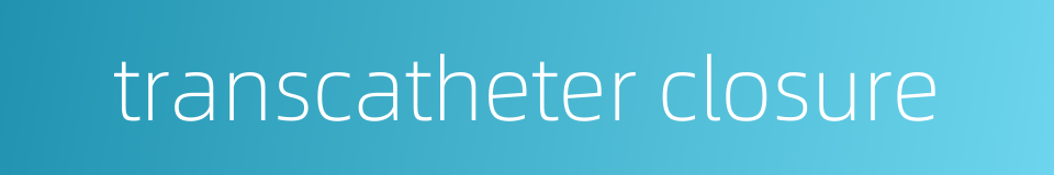 transcatheter closure的同义词