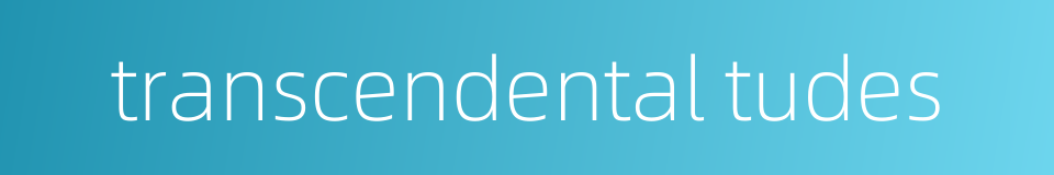 transcendental tudes的同义词