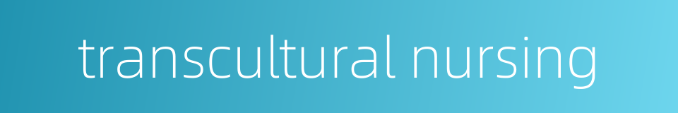 transcultural nursing的同义词