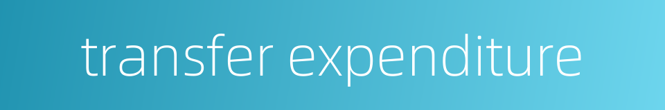 transfer expenditure的同义词