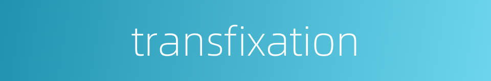 transfixation的同义词