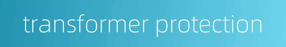 transformer protection的同义词